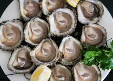 Oysters at Monks Ballyvaughan Seafood Restaurant & Bar, Co Clare